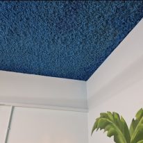 Blue Acoustic plaster spray